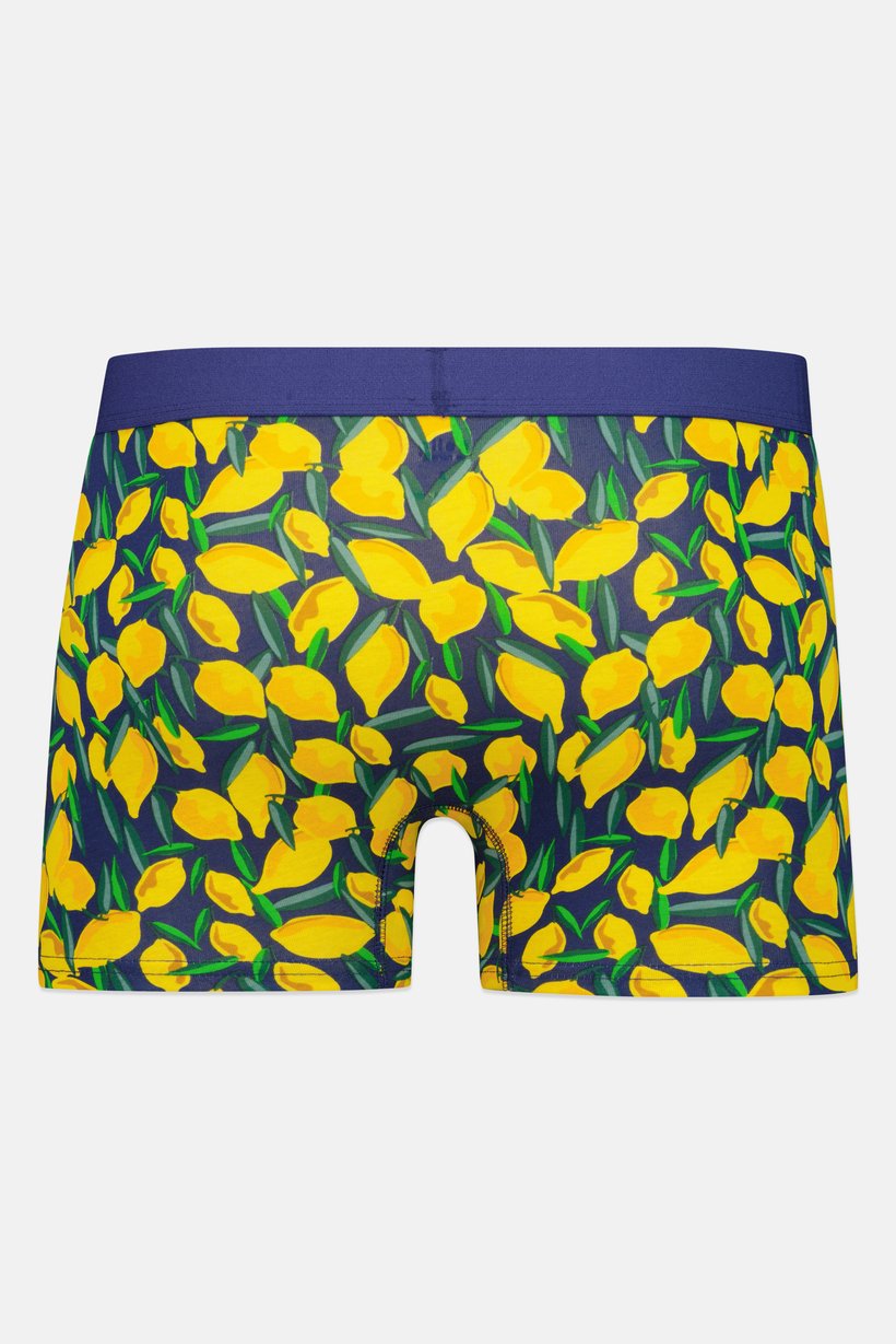 Men Allover Print Boxer Brief, Multicolor