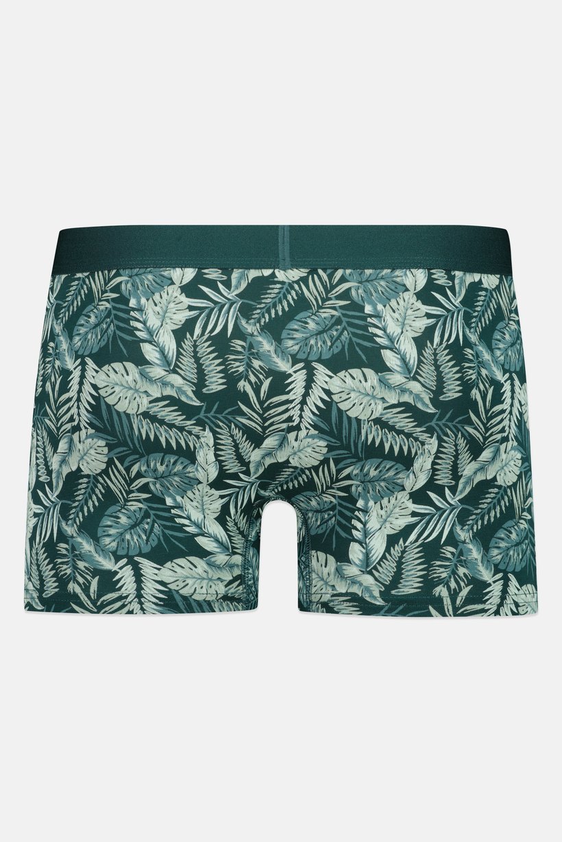 Men Allover Print Boxer, Multicolor