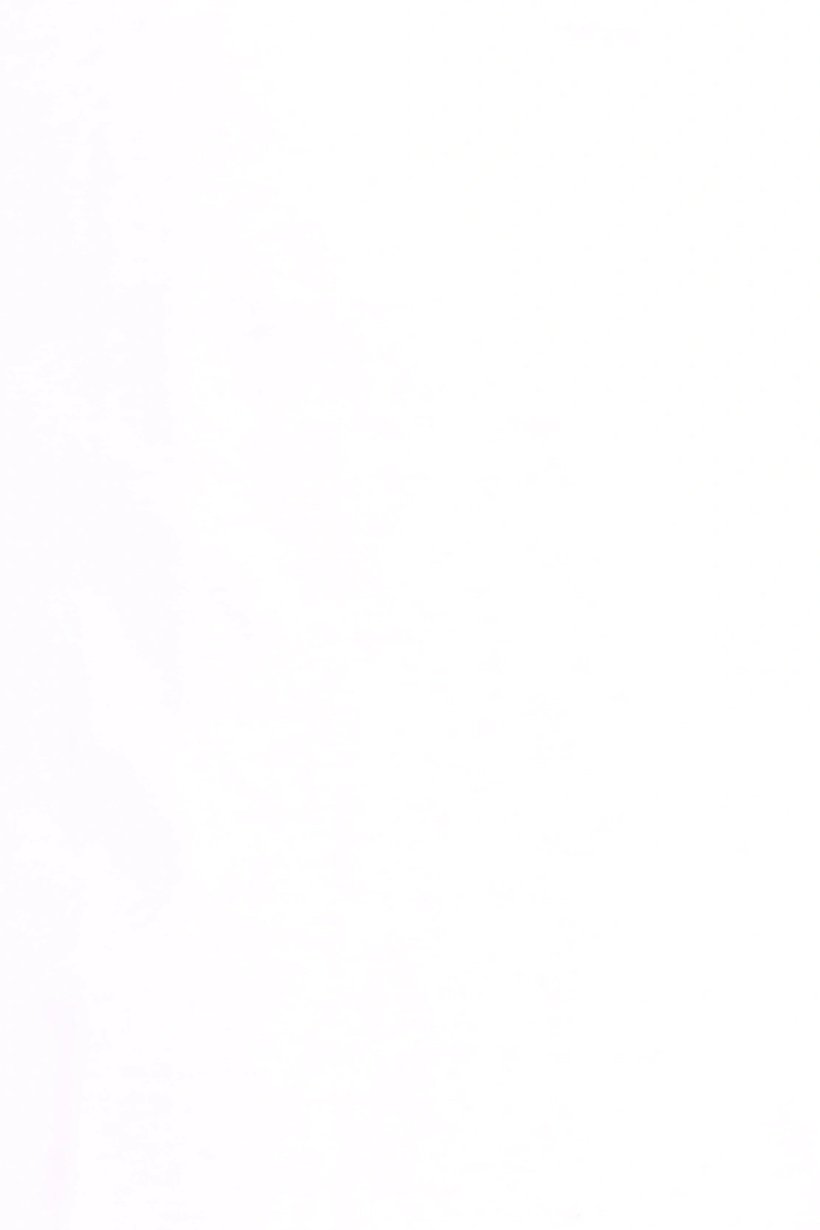 Men Regular Fit Short Sleeve Solid Polo Shirt, White