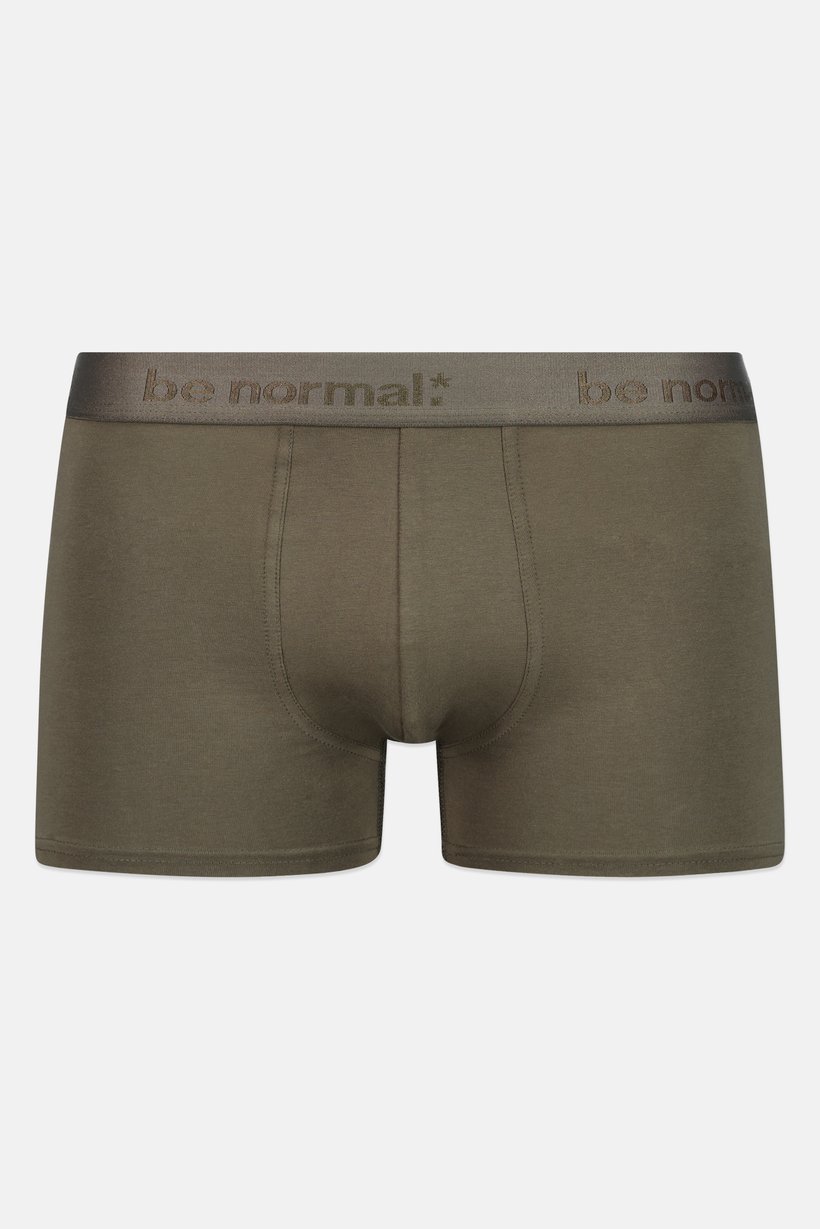 Men Solid Boxer Brief, Green