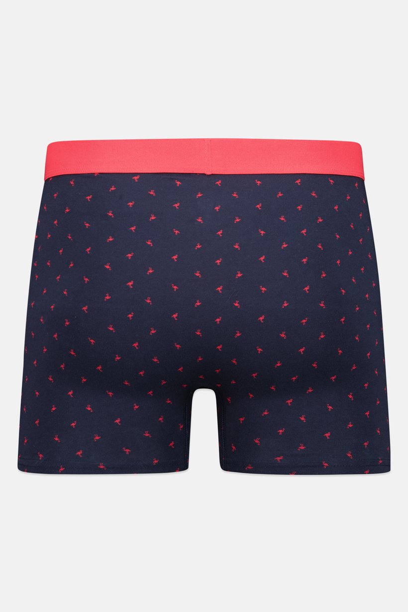 Men Allover Print Pull On Boxer, Multicolor