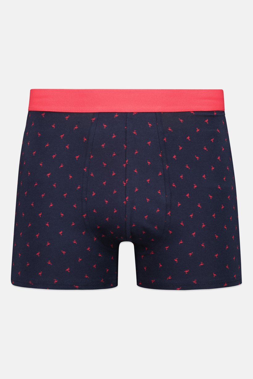 Men Allover Print Pull On Boxer, Multicolor
