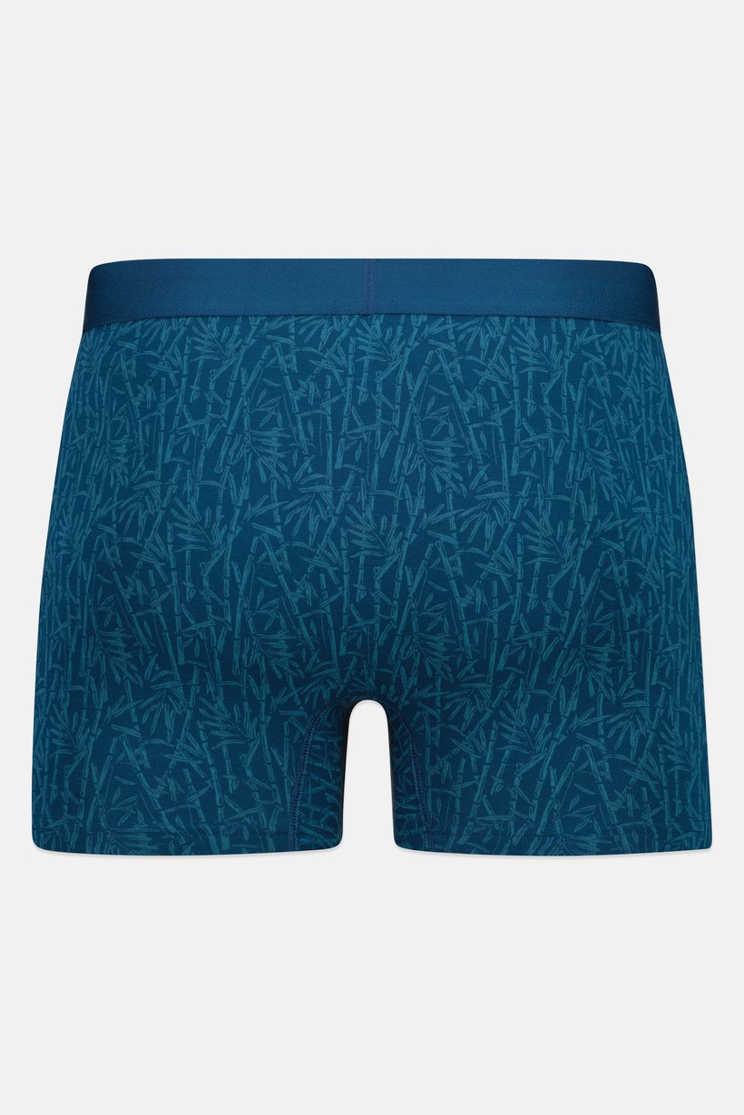 Men Allover Print Boxer, Multicolor