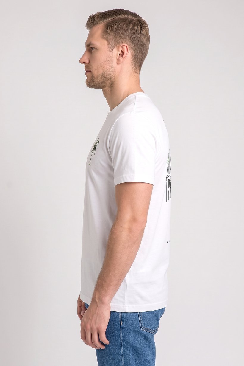 Men Crew Neck Short Sleeve Graphic Print T-Shirt, White