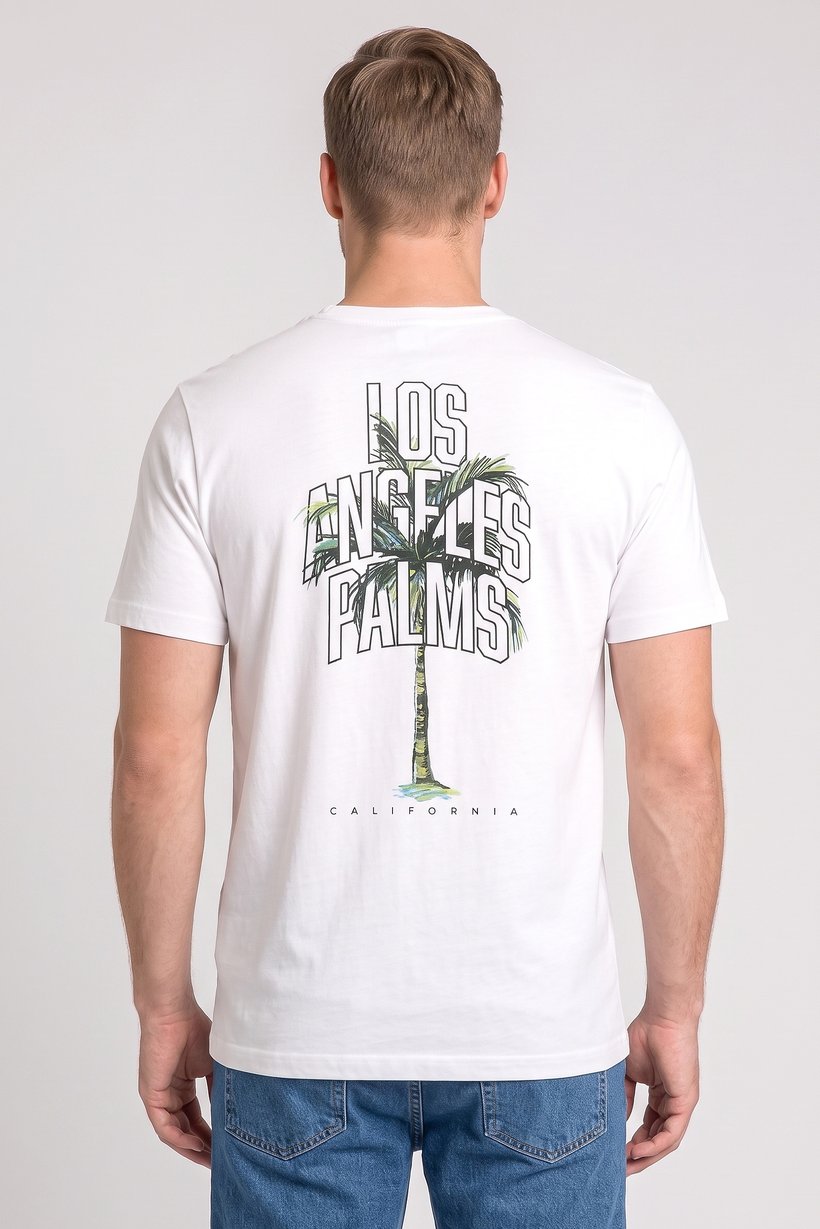 Men Crew Neck Short Sleeve Graphic Print T-Shirt, White