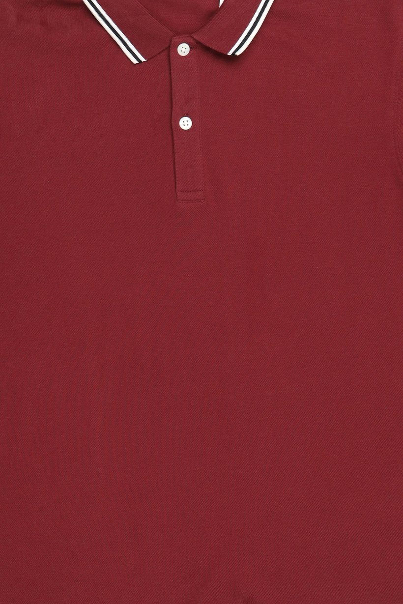 Men Regular Fit Long Sleeve Plain Polo Shirt, Maroon