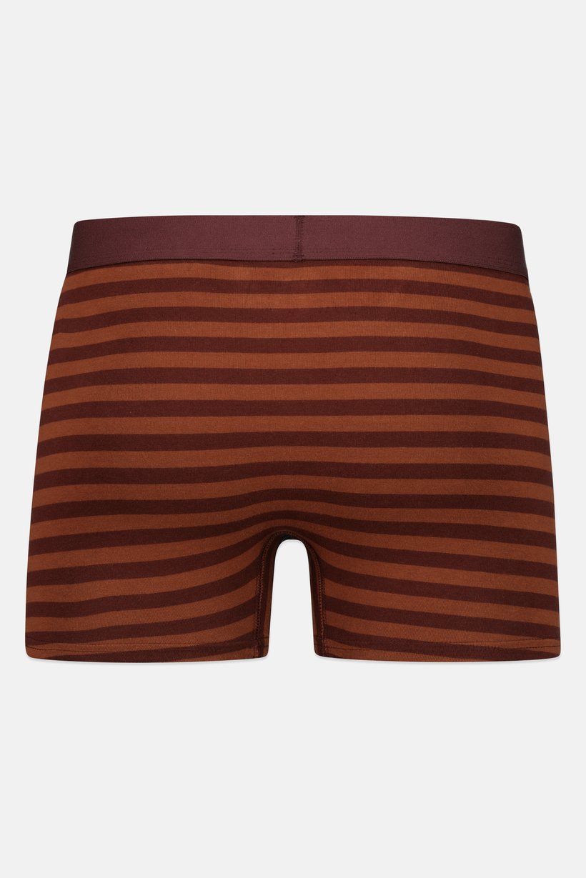 Men 1 Piece Stripe Boxer, Brown