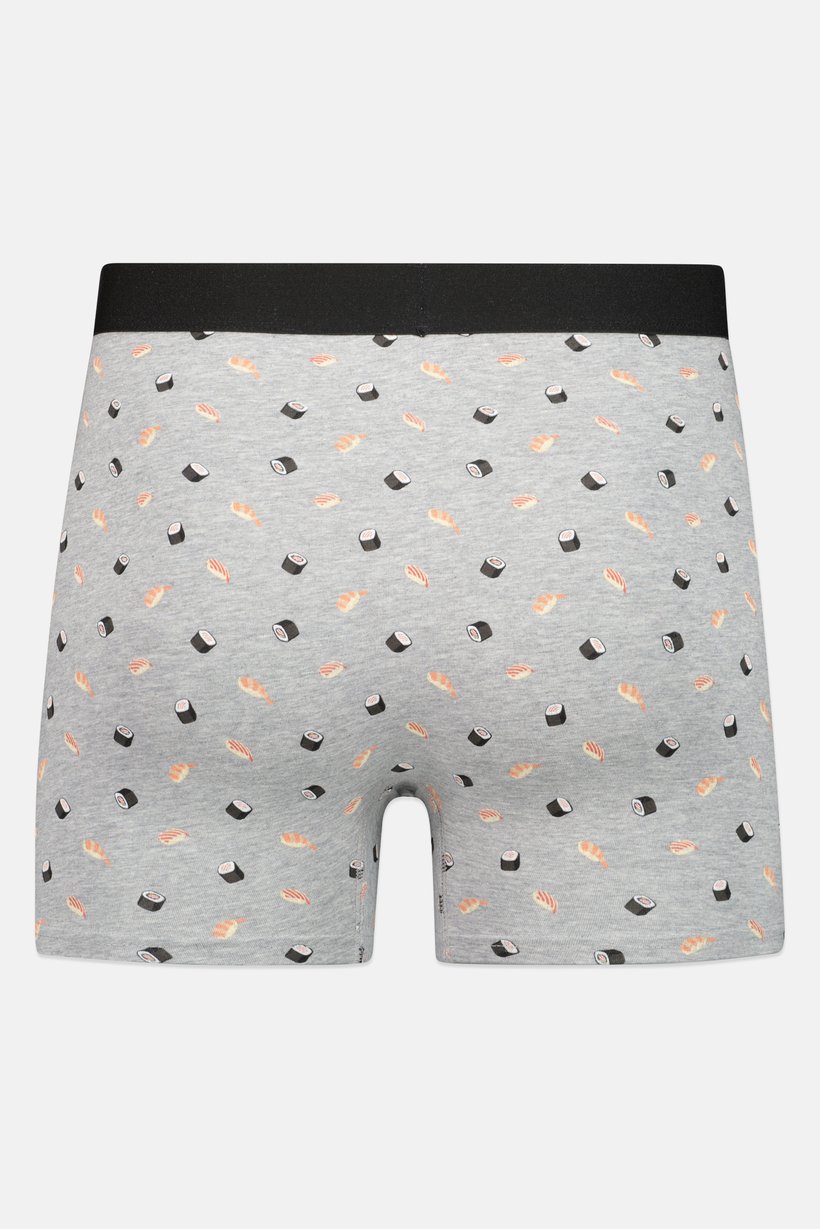 Men Allover Print Boxer Brief, Multicolor