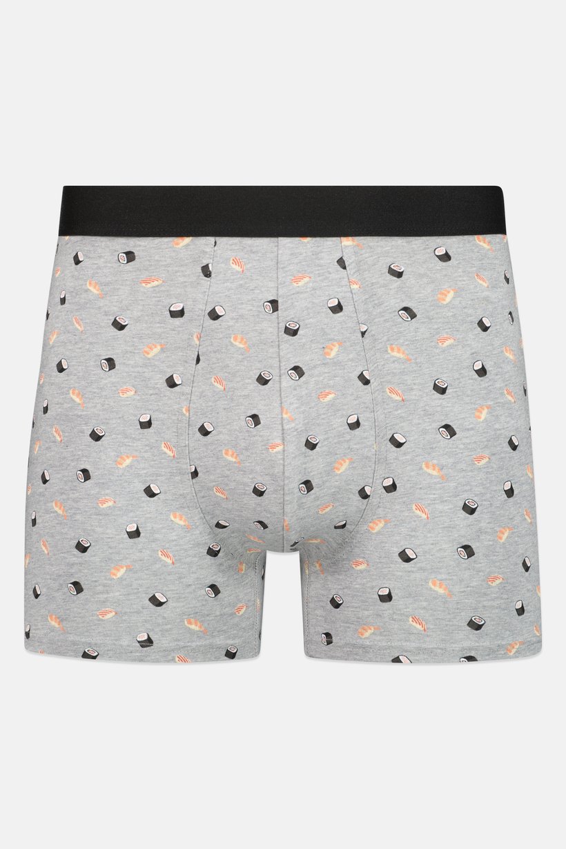 Men Allover Print Boxer Brief, Multicolor