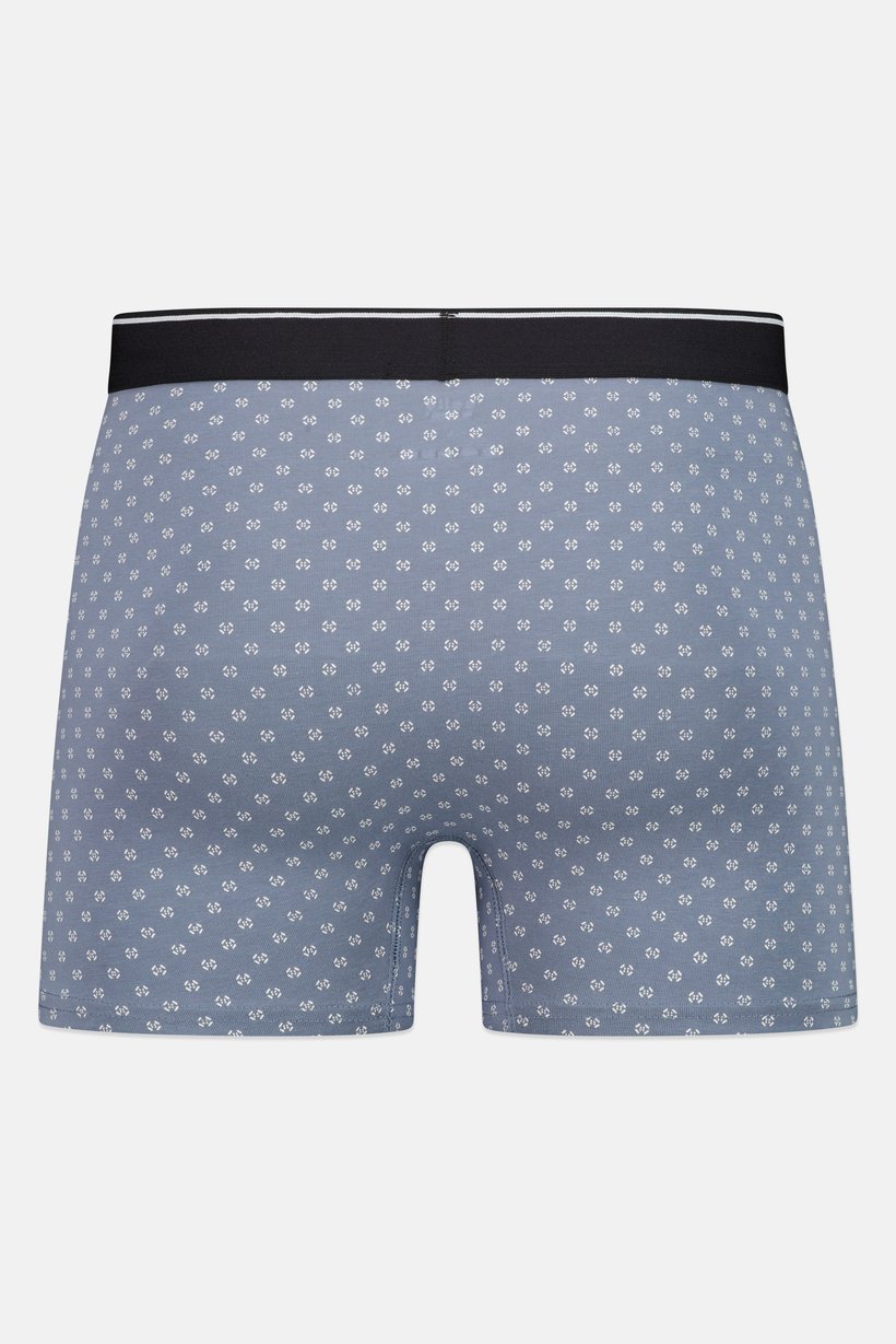 Men Allover Print Boxer Brief, Multicolor