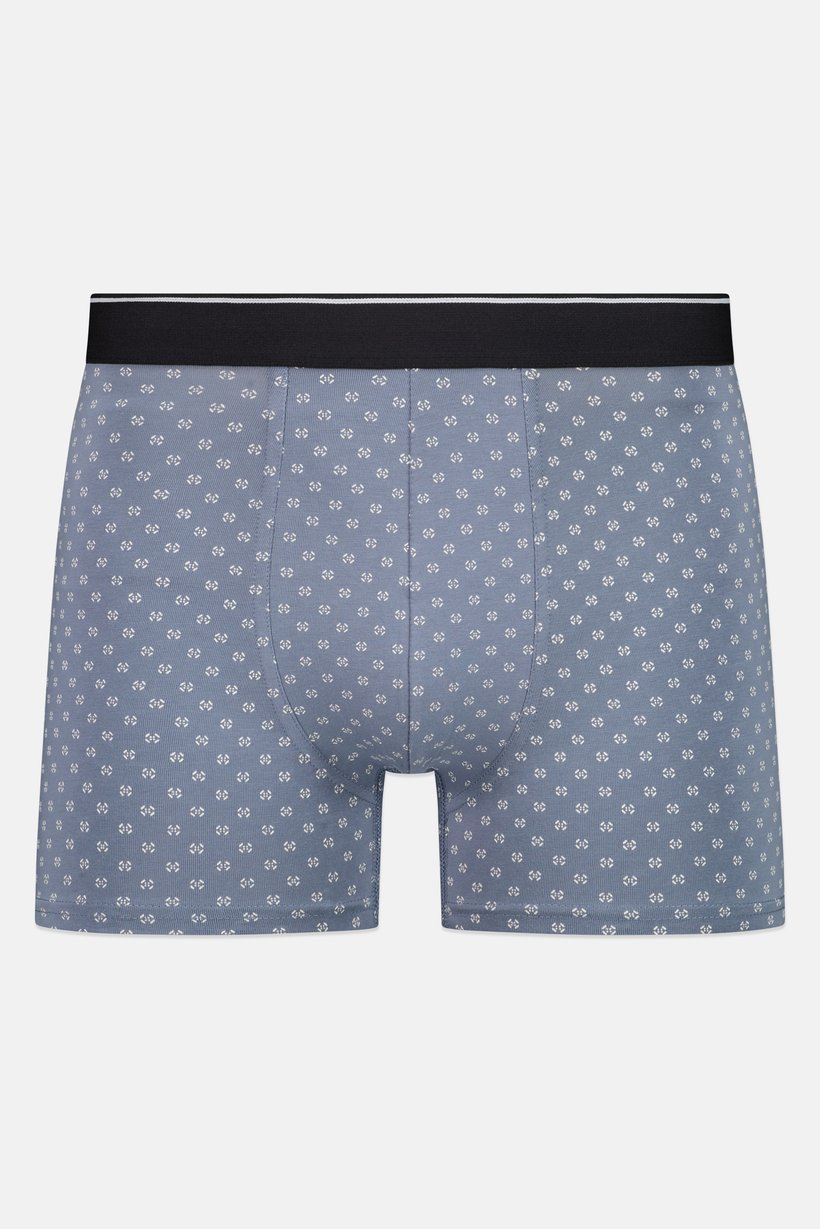 Men Allover Print Boxer Brief, Multicolor