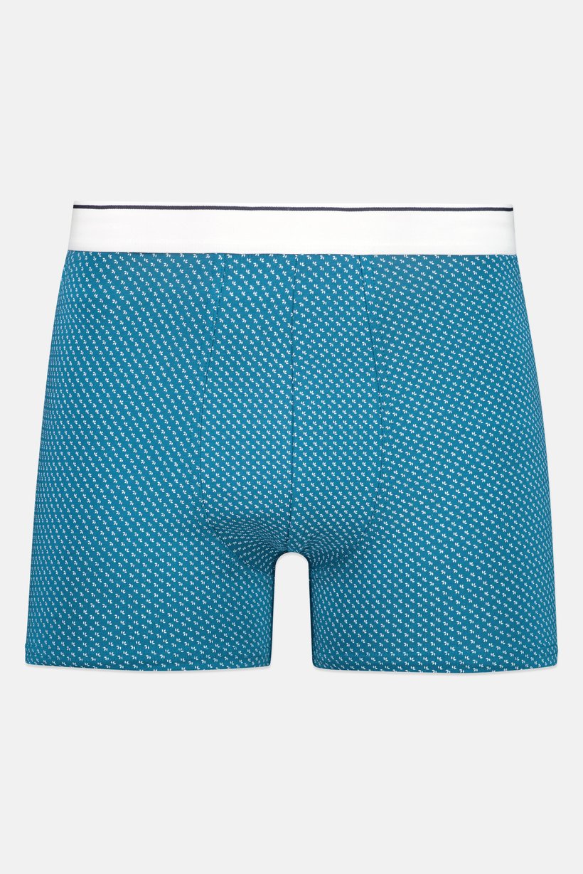 Men Allover Printed Boxer Shorts, Multicolor