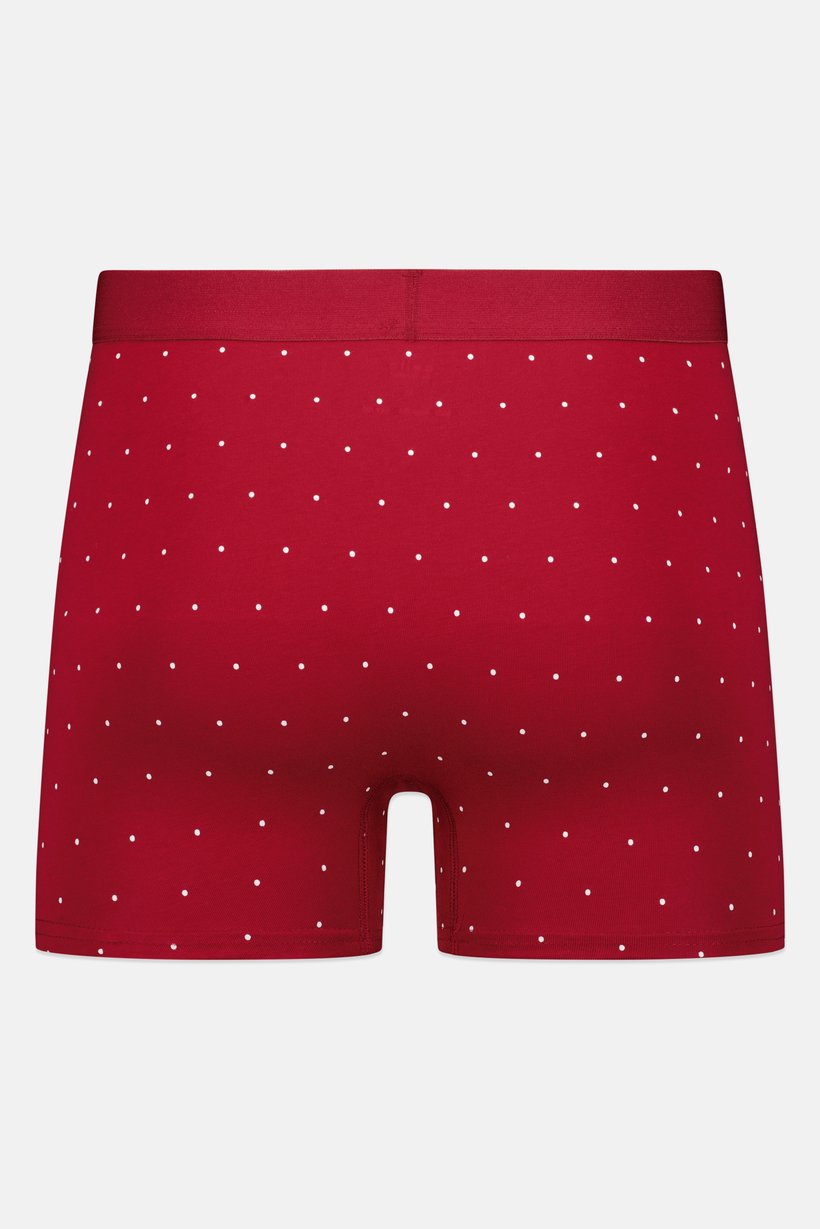 Men Polka Dot Pull On Boxer, Multicolor