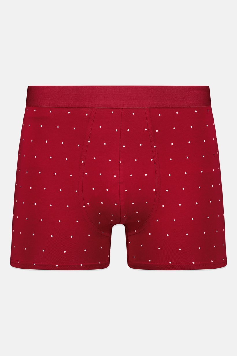 Men Polka Dot Pull On Boxer, Multicolor