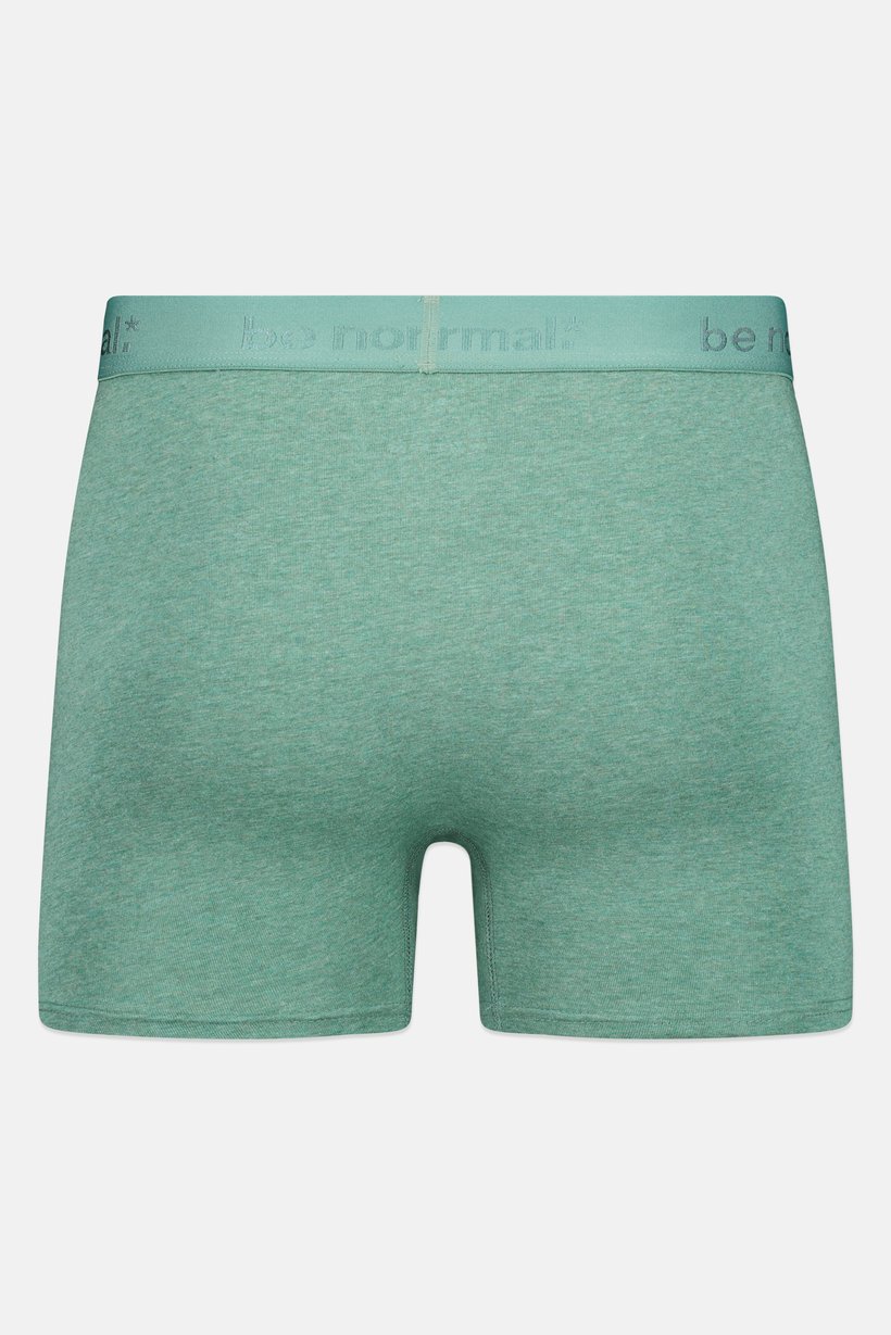 Men Embroidered Pull On Boxer, Heather Green