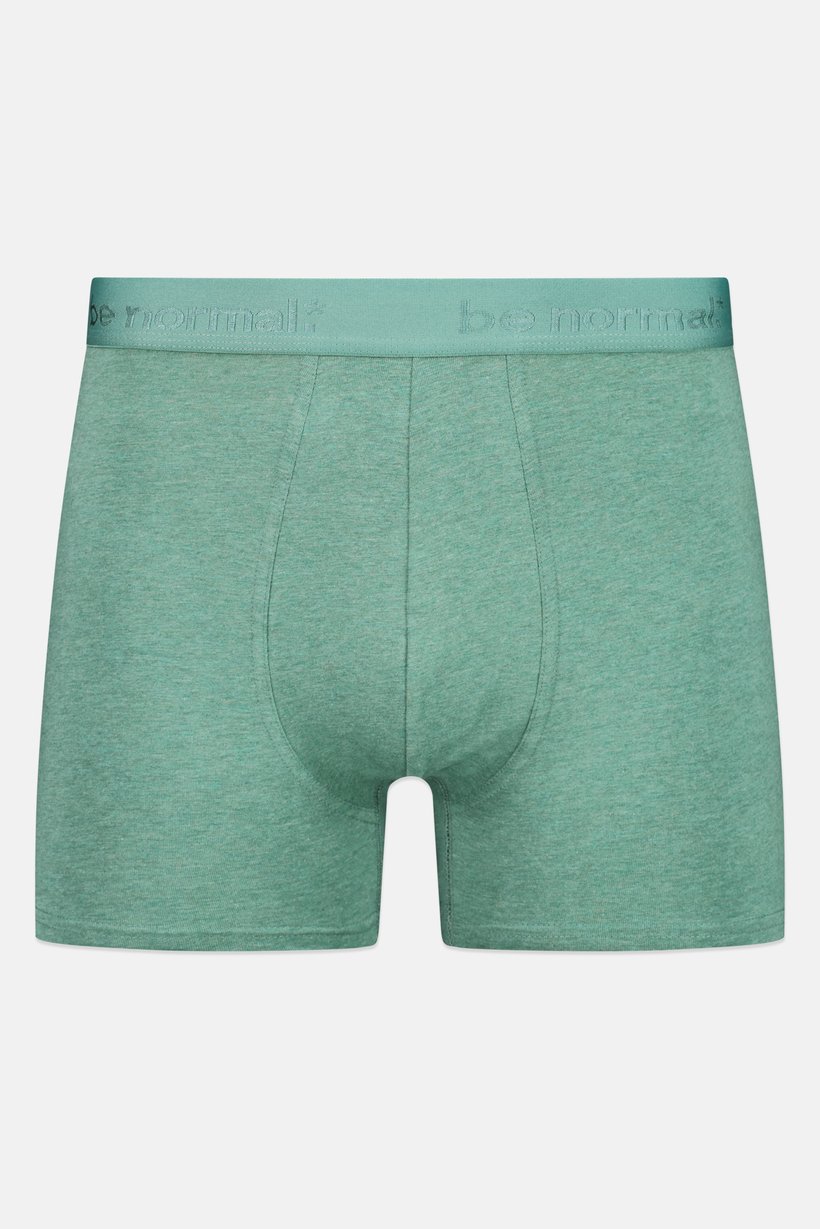 Men Embroidered Pull On Boxer, Heather Green