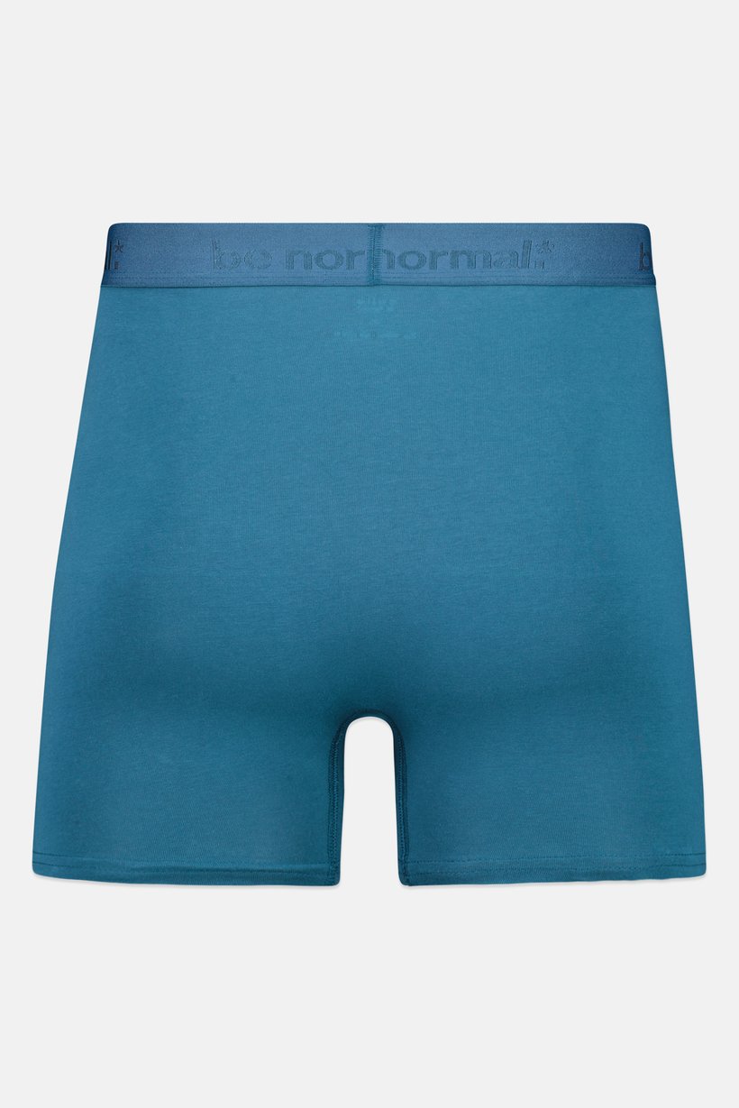 Men Brand Logo Boxer Brief, Teal Blue