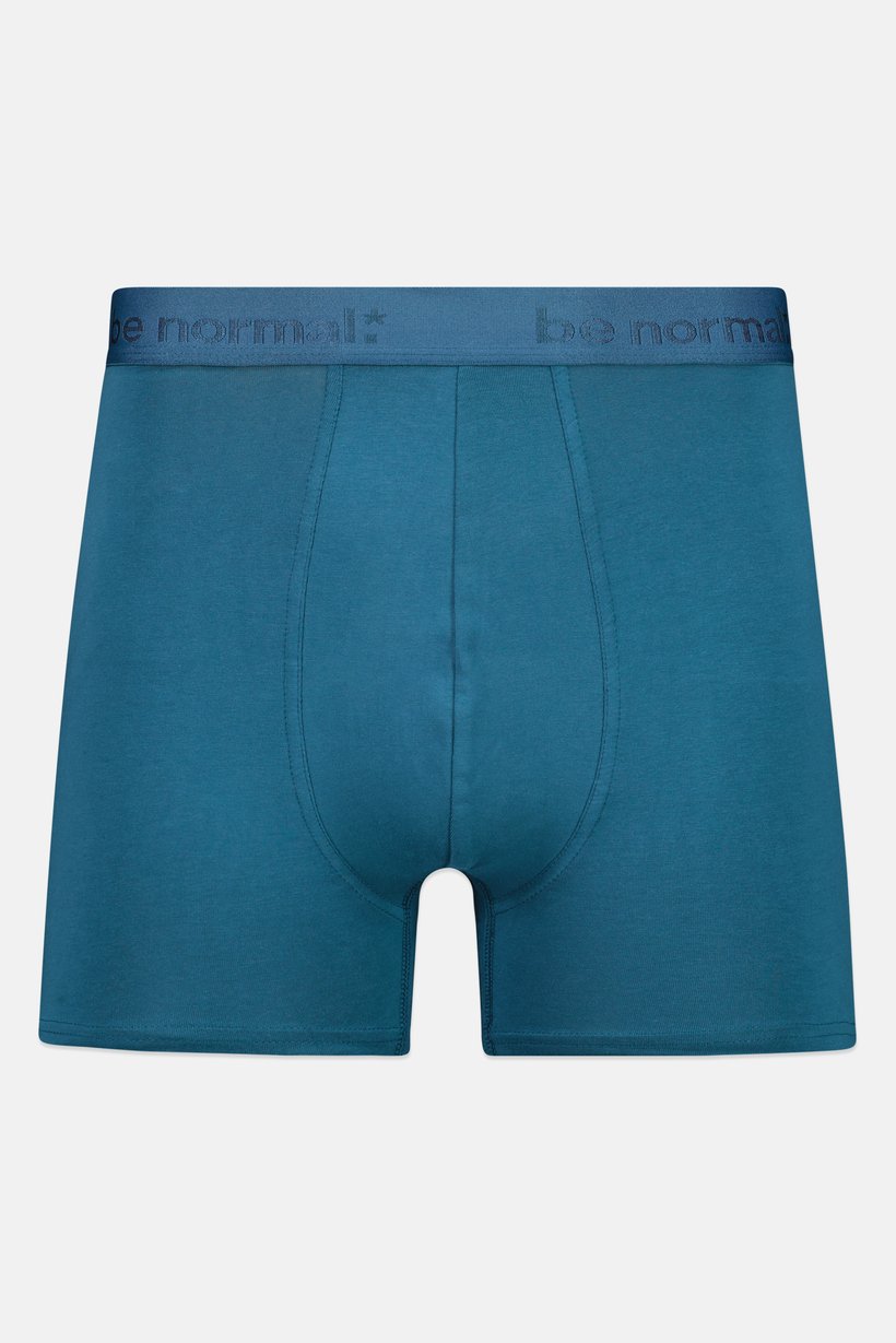 Men Brand Logo Boxer Brief, Teal Blue