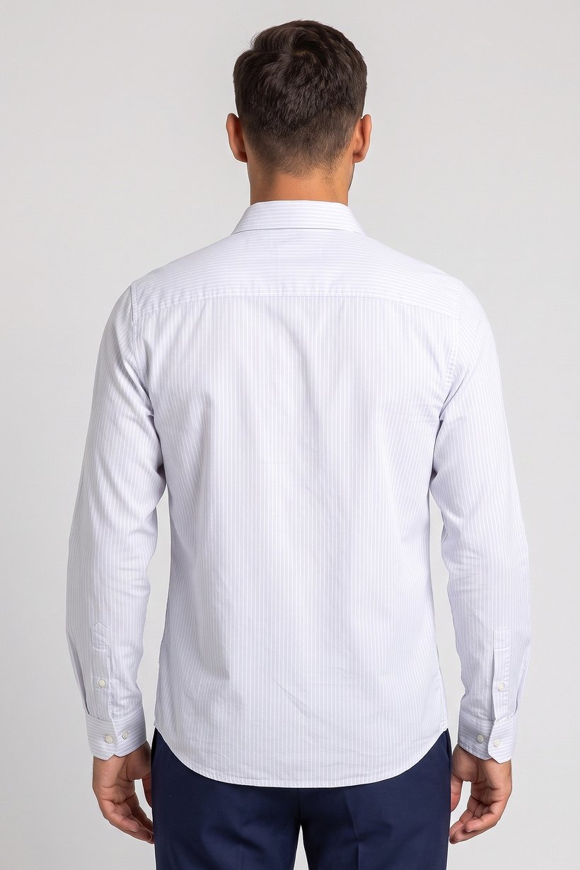 Men Regular Fit Stripe Long Sleeve Casual Shirt, Multicolor