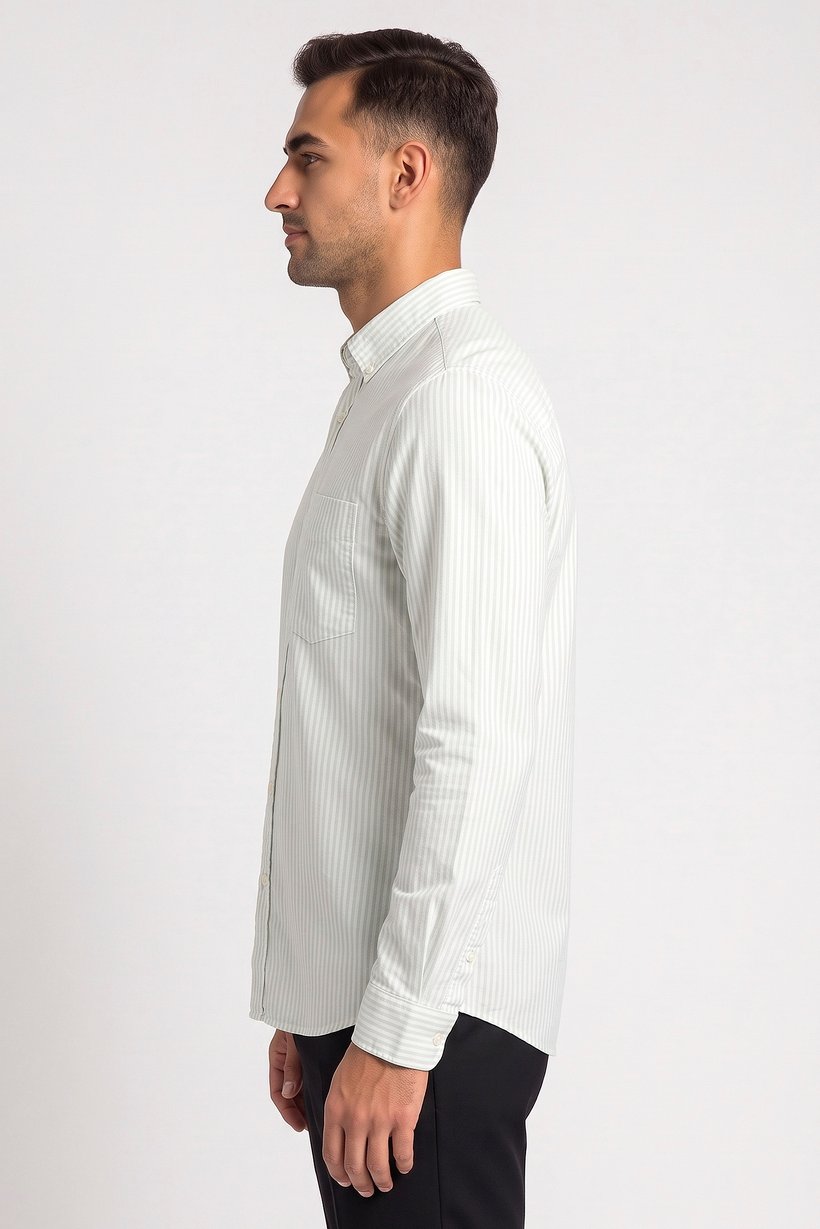 Men Regular Fit Stripe Long Sleeve Casual Shirt, Multicolor