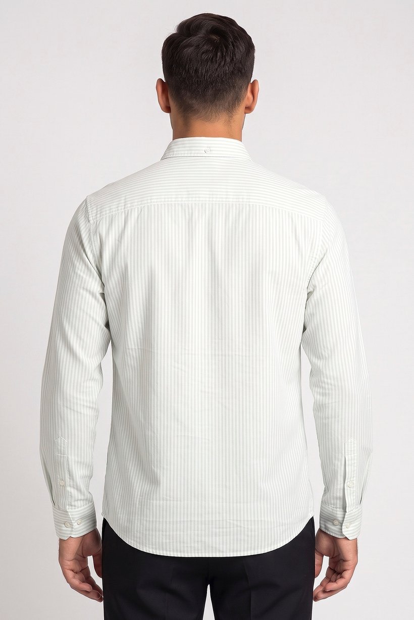 Men Regular Fit Stripe Long Sleeve Casual Shirt, Multicolor