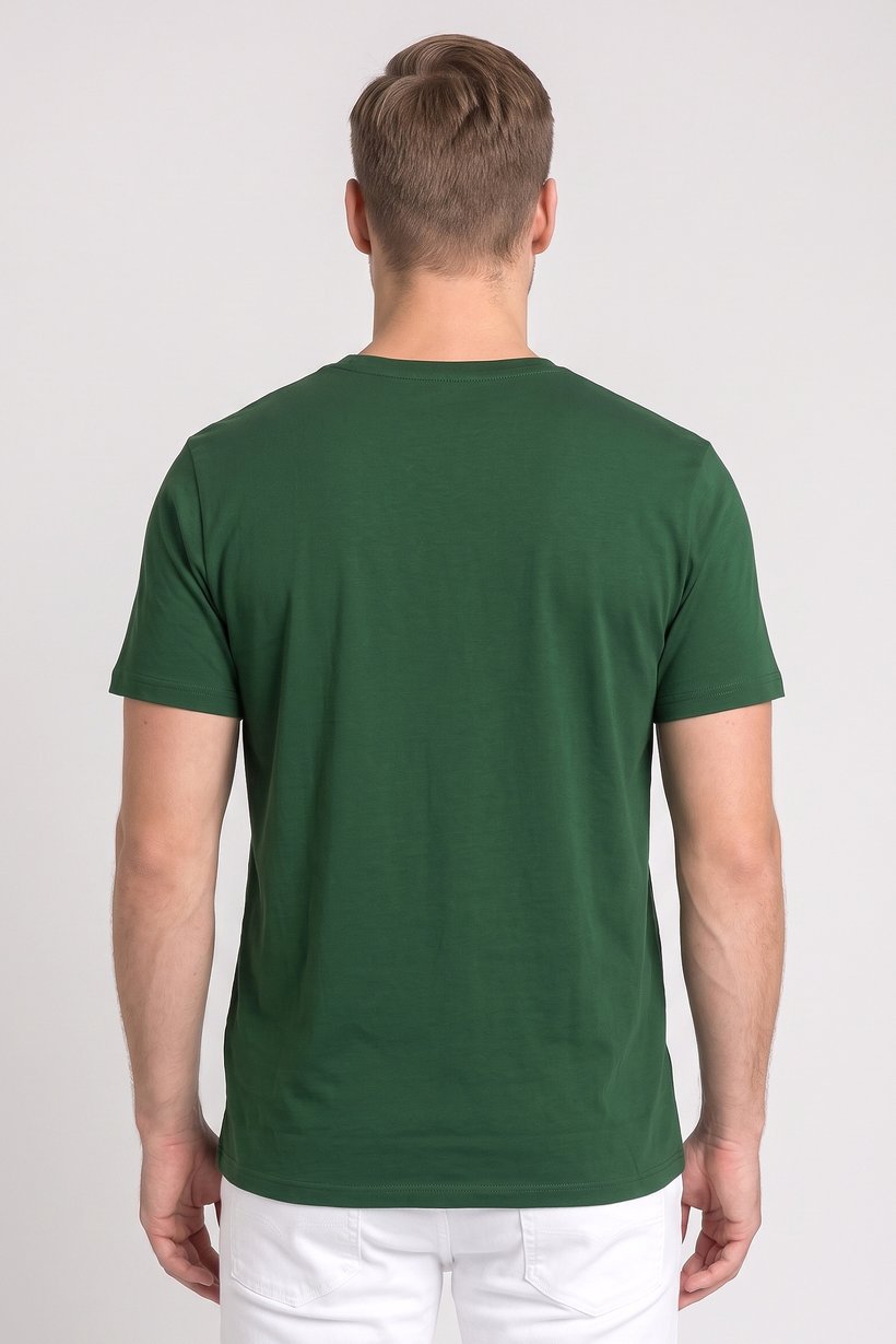 Men Crew Neck Short Sleeve Graphic Print T-Shirt, Green