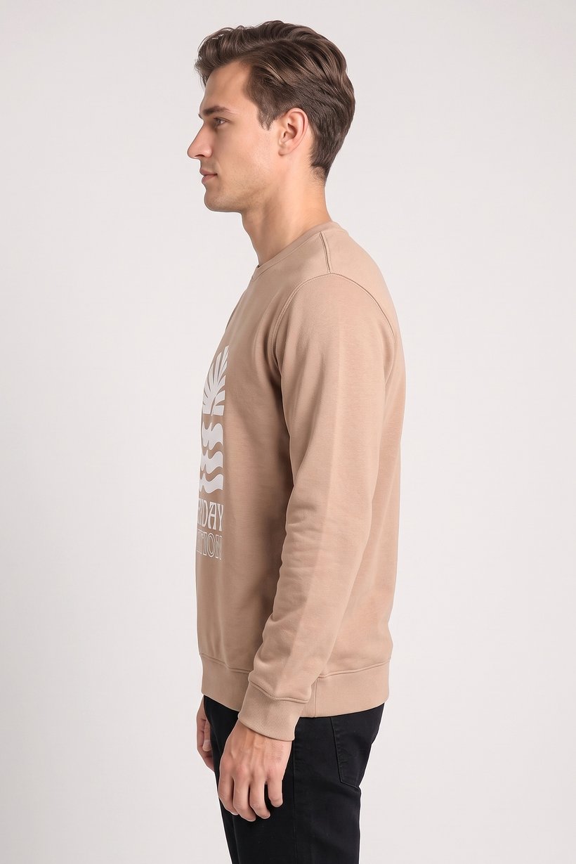 Men Crew Neck Long Sleeve Graphic Print Sweatshirt, Tan