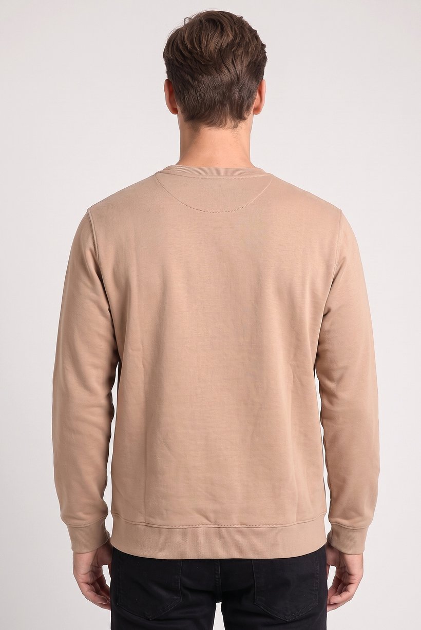 Men Crew Neck Long Sleeve Graphic Print Sweatshirt, Tan