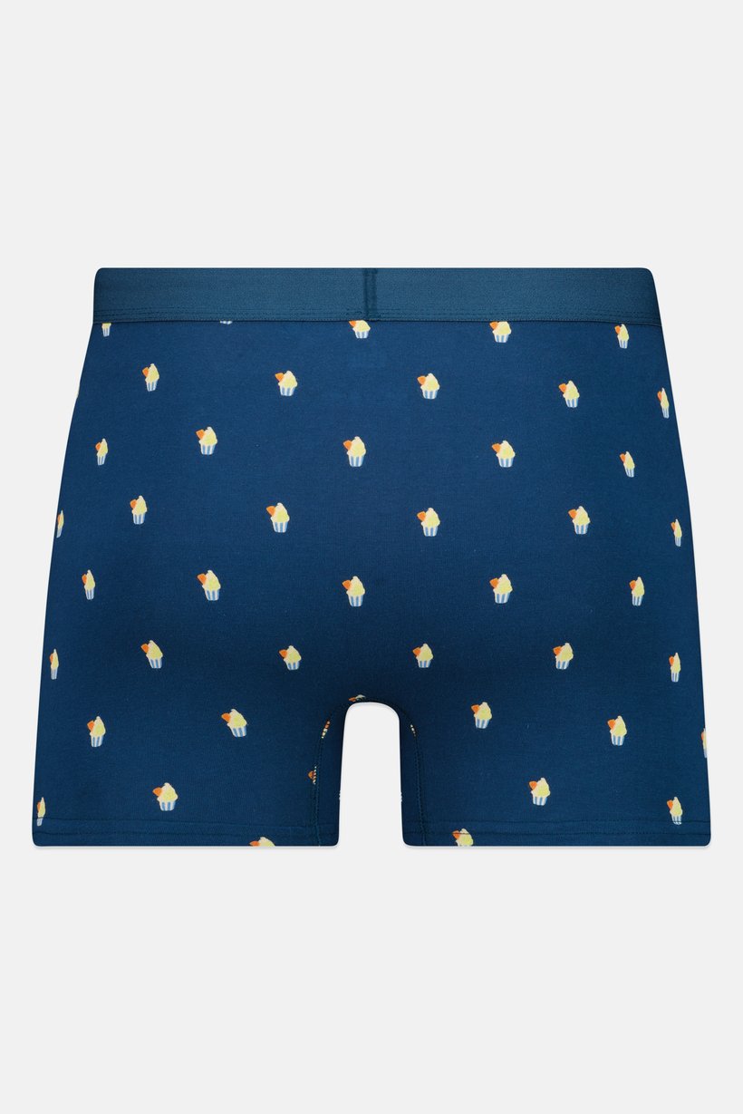 Men Allover Print Pull On Boxer, Multicolor