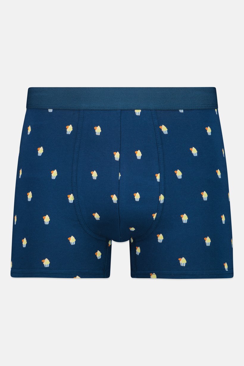 Men Allover Print Pull On Boxer, Multicolor