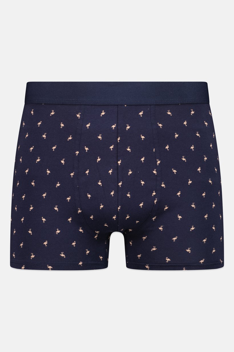 Men Allover Print Pull On Boxer, Navy Blue