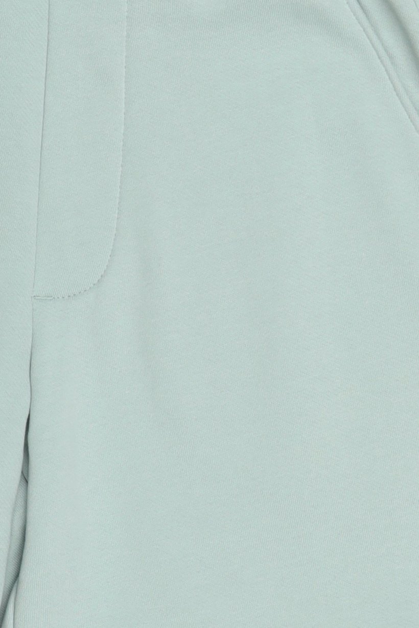 Men Solid Basic Shorts, Light Green