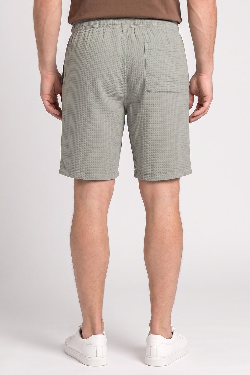 Men Textured Basic Shorts, Sage Green