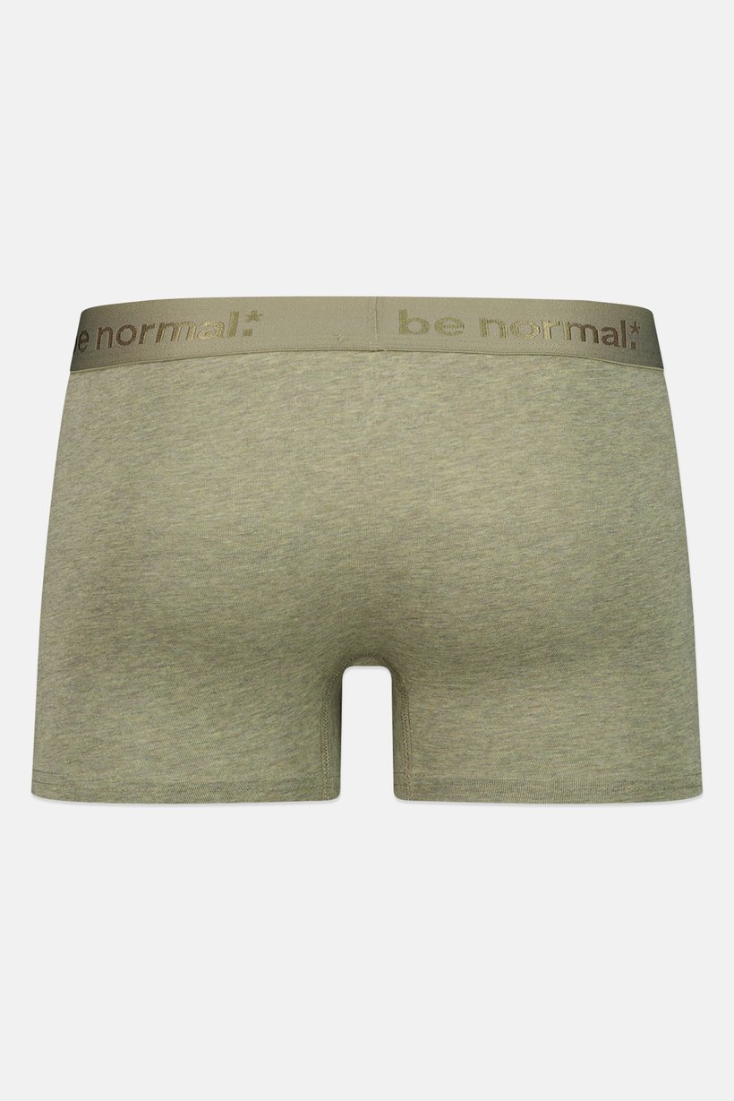 Men Heather Pull On Boxer, Heather Green