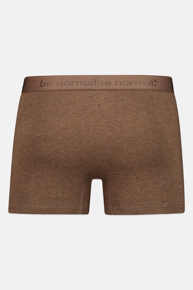Men Embroidered Pull On Boxer Shorts, Heather Brown