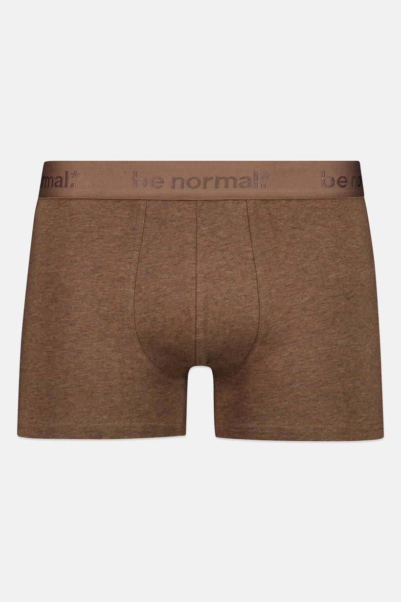 Men Embroidered Pull On Boxer Shorts, Heather Brown