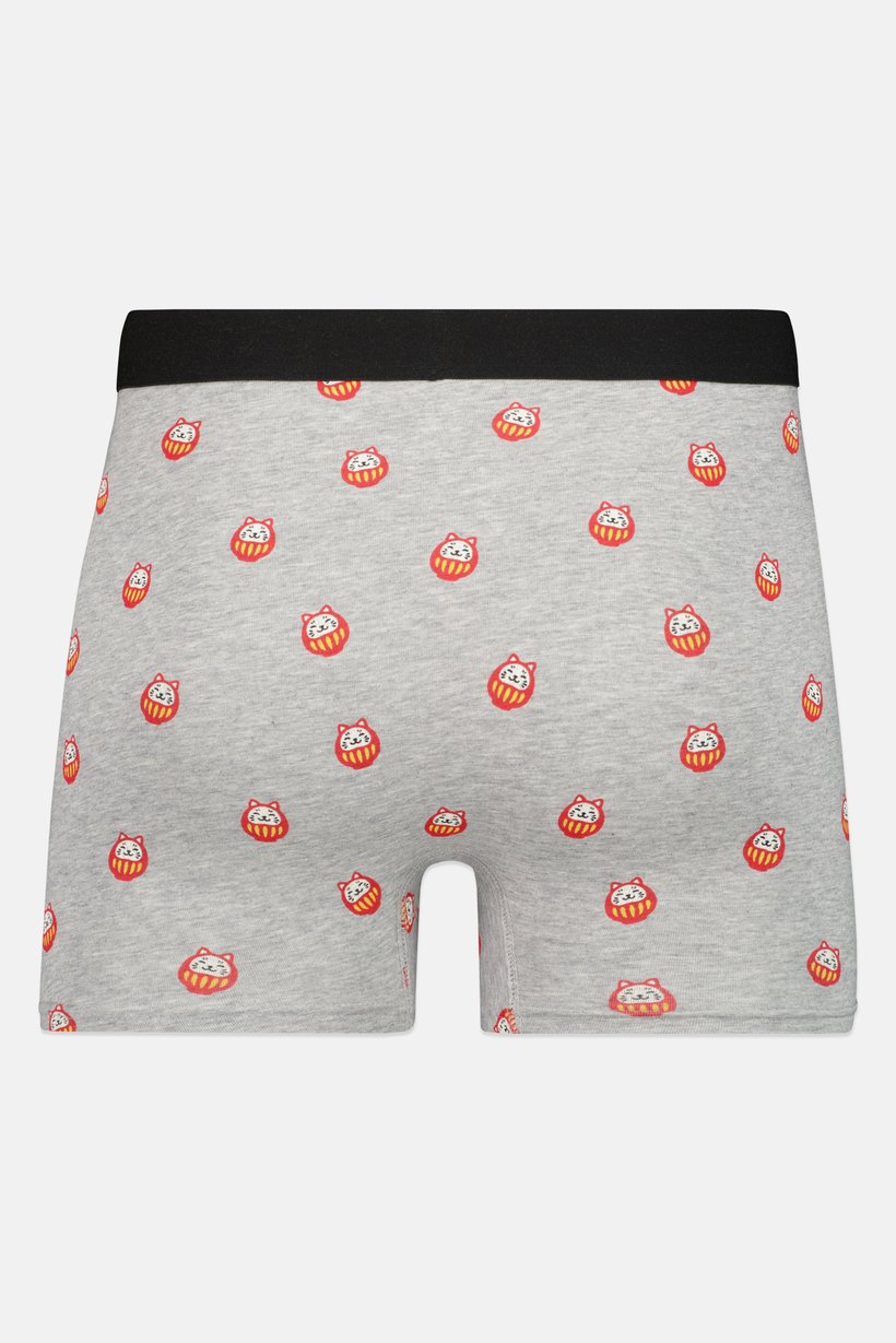 Men Graphic Print Boxer Brief, Multicolor