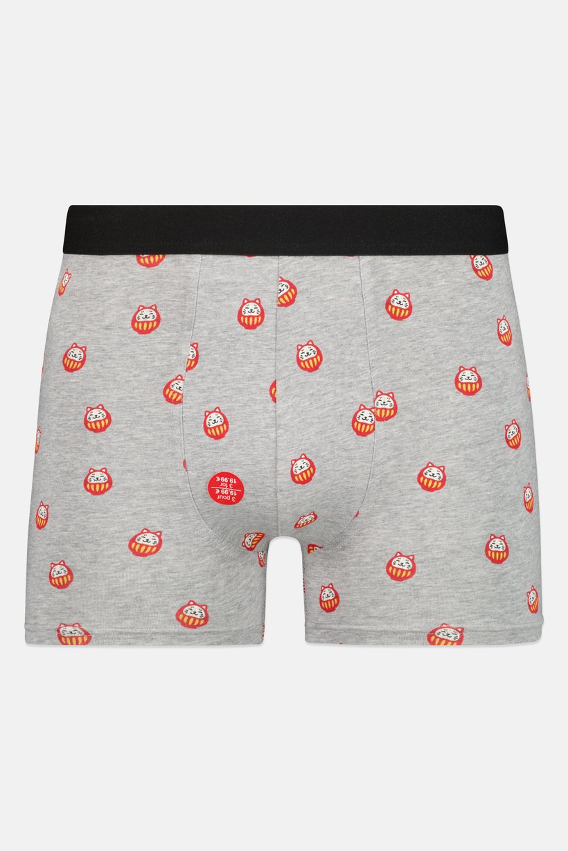 Men Graphic Print Boxer Brief, Multicolor