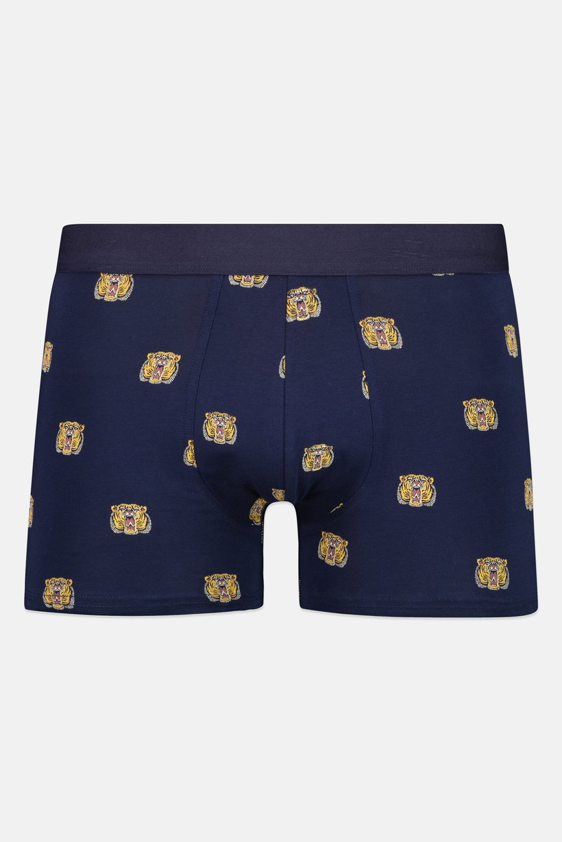 Men Allover Print Pull On Boxer, Multicolor