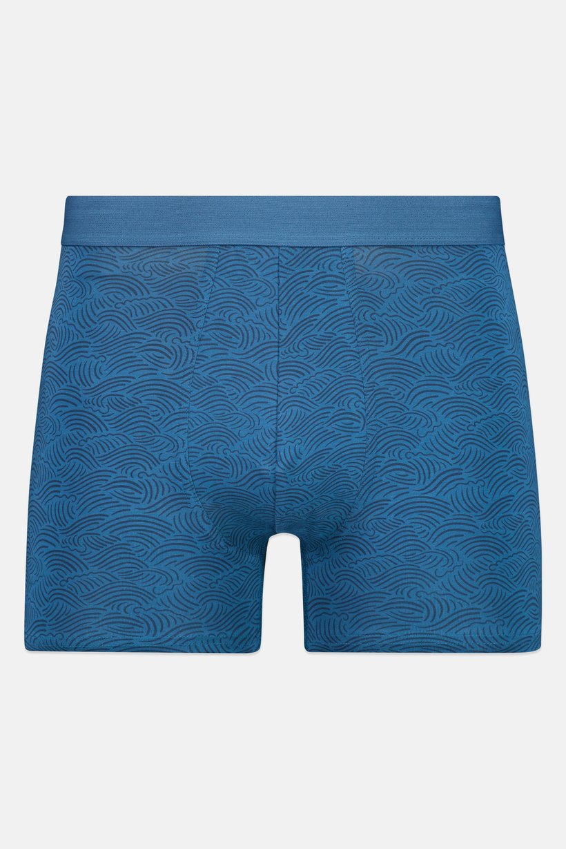 Men Allover Print Boxer Brief, Multicolor