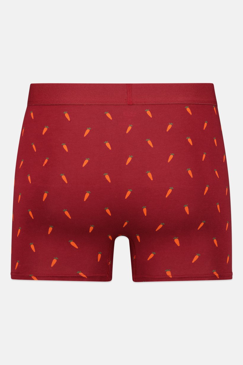 Men Allover Print Pull On Boxer, Multicolor
