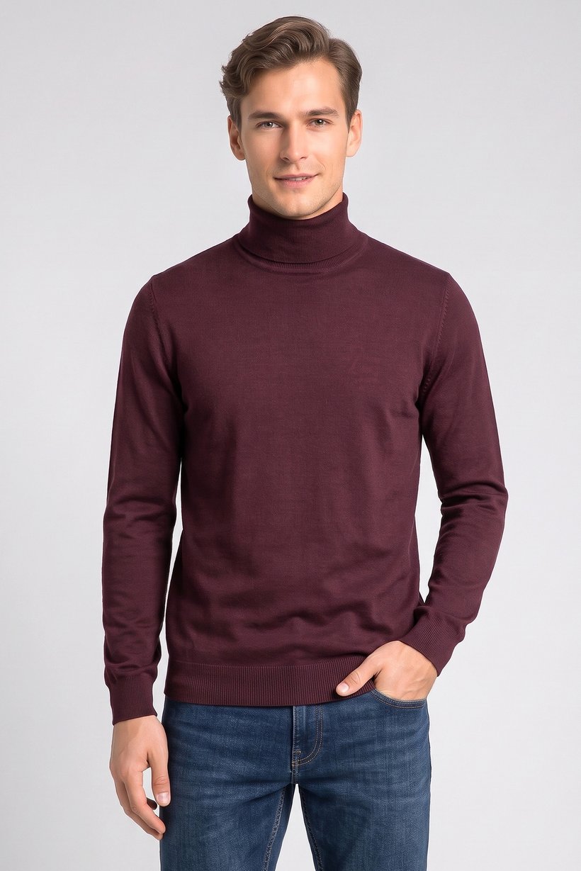 Men Turtle Neck Textured Sweater, Burgundy