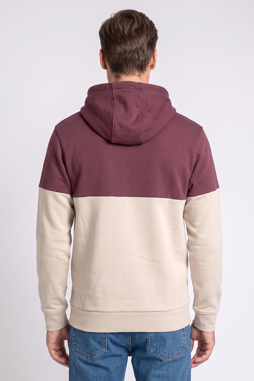 Men Two Tone Long Sleeve Hoodie, Multicolor