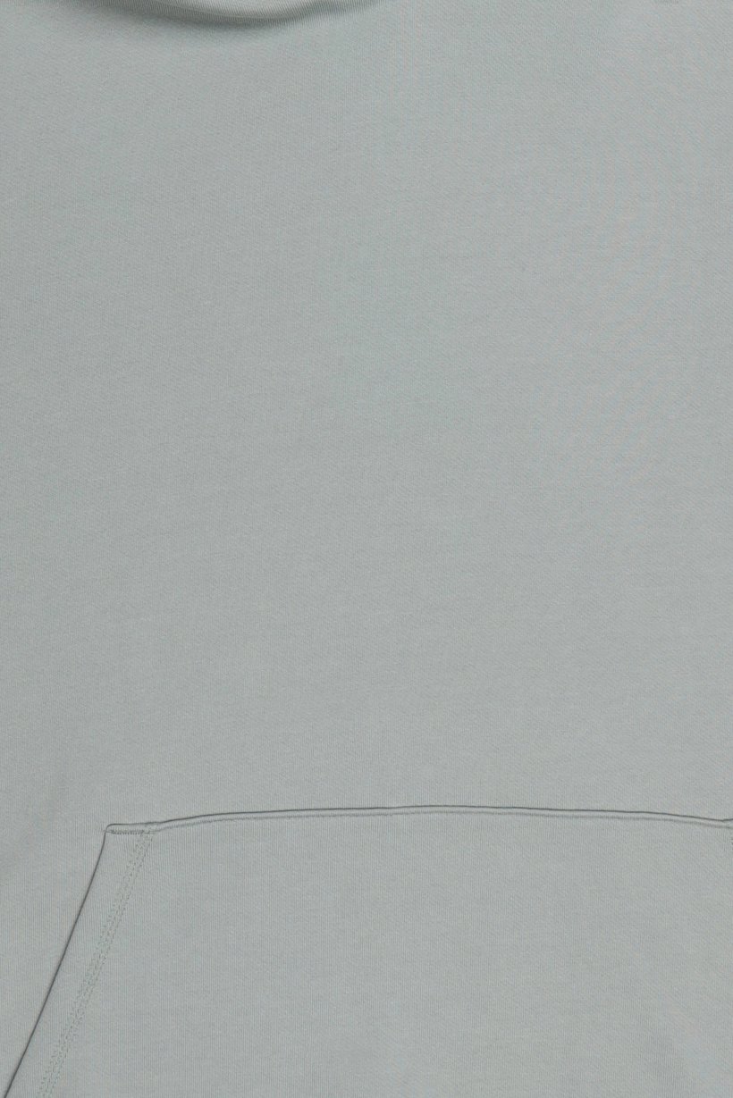 Men Plain Long Sleeve Hoodie, Sage Green
