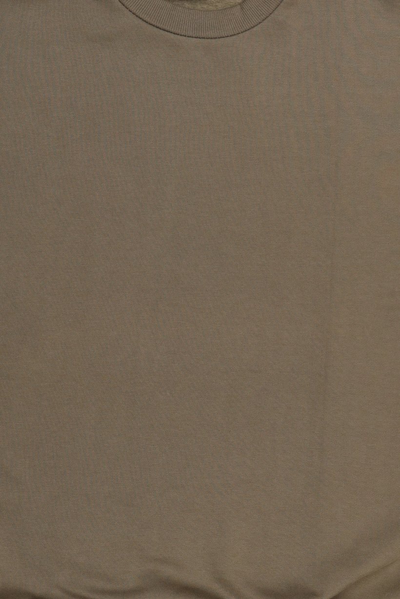 Men Crew Neck Long Sleeve Plain Sweatshirt, Sage Green