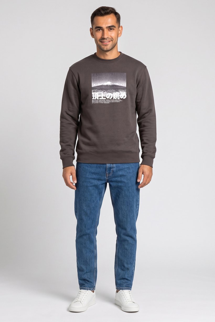 Men Crew Neck Graphic Print Long Sleeve Hoodie, Charcoal