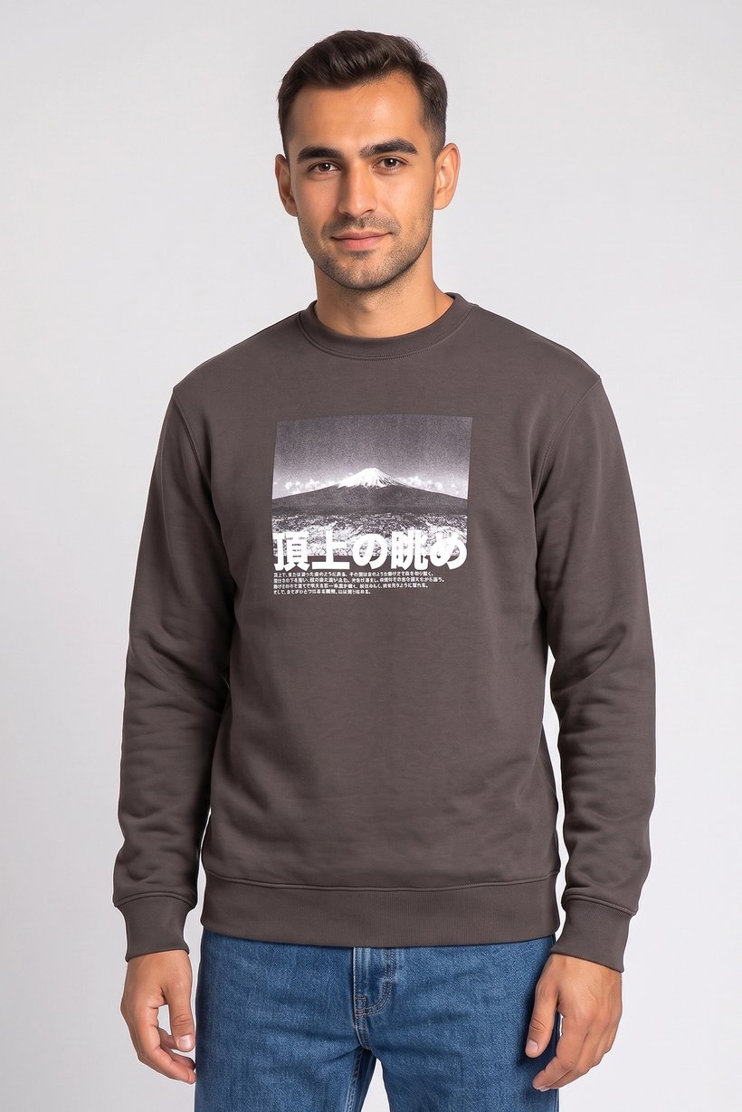 Men Crew Neck Graphic Print Long Sleeve Hoodie, Charcoal