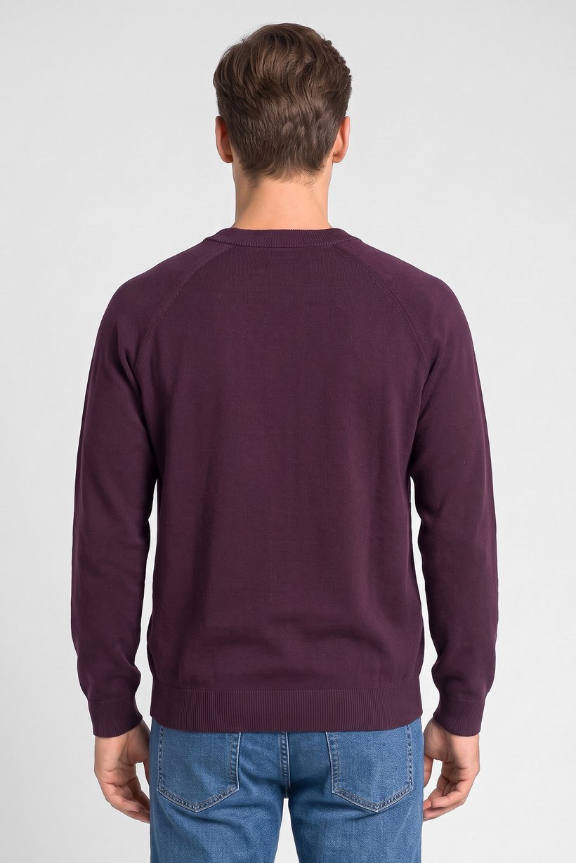 Men Crew Neck Knitted Sweater, Purple