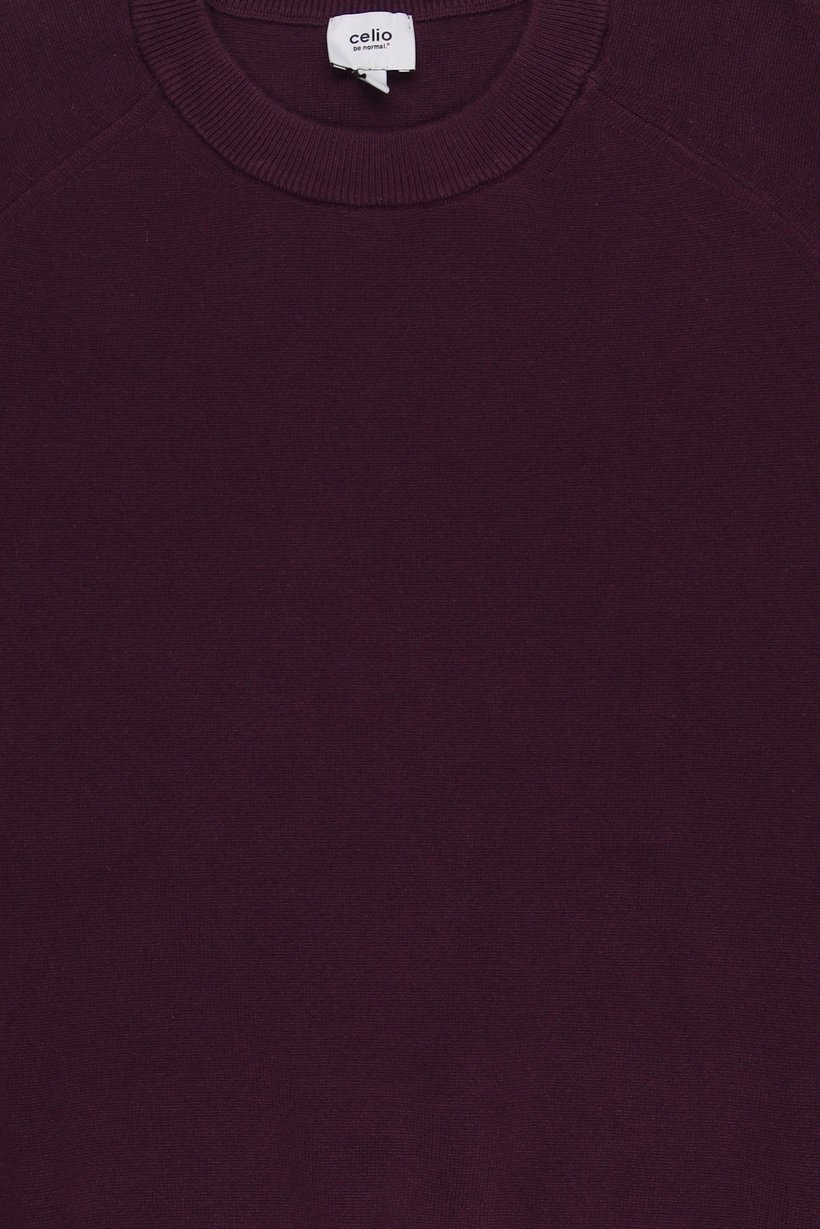 Men Crew Neck Knitted Sweater, Purple