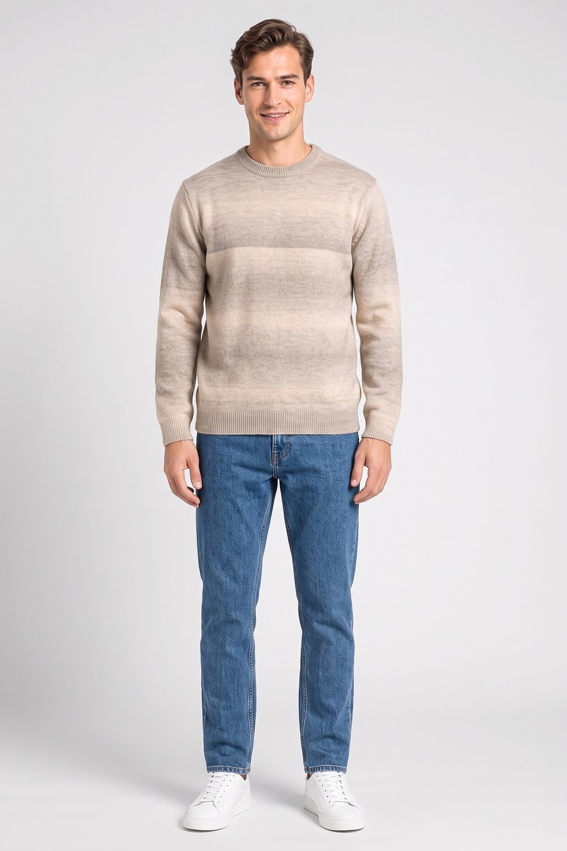 Men Crew Neck Textured Long Sleeve Sweater, Multicolor